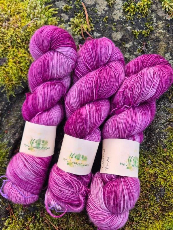 Tynn Merino, Cabernet 10.11.24