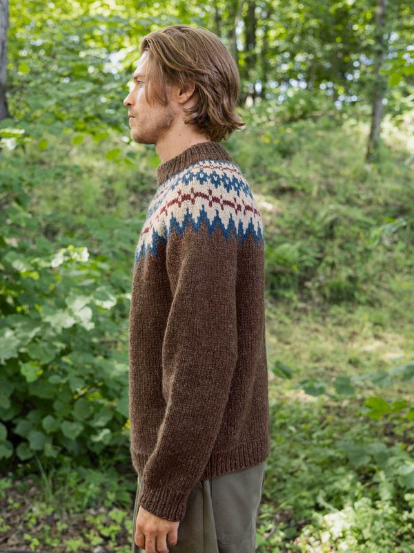 2410-6 Polar-Light Herregenser