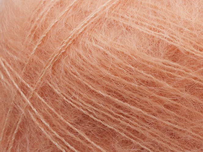 Hovedbilde Tilia 341 Winter Peach 