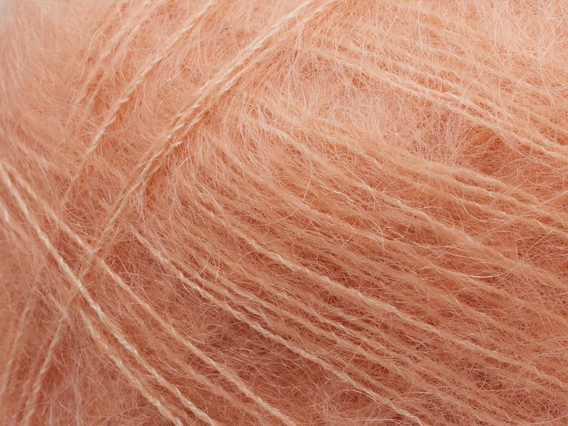 Tilia 341 Winter Peach 