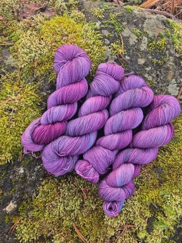 Tynn Merino, Sviskekompott 10.11.24